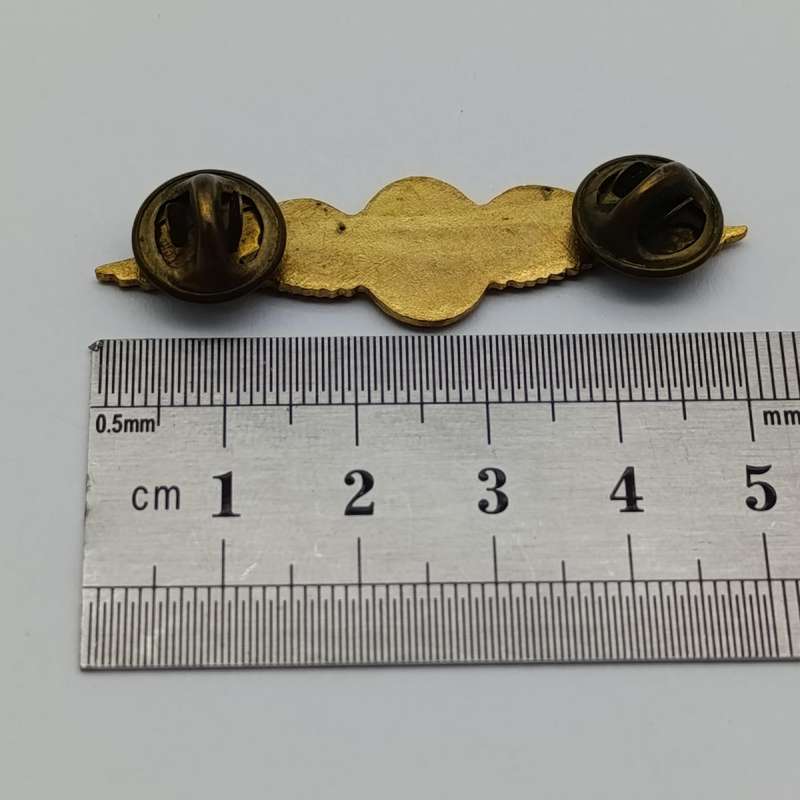 SA Air Force Pilot mess dress ring