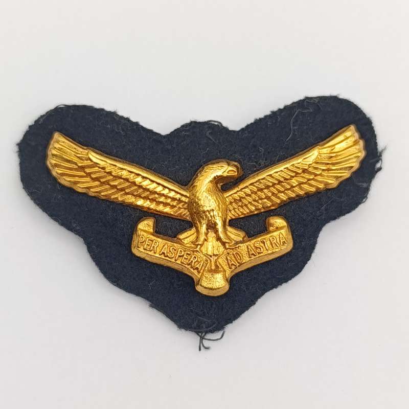 SA Air Force cap badge with backing