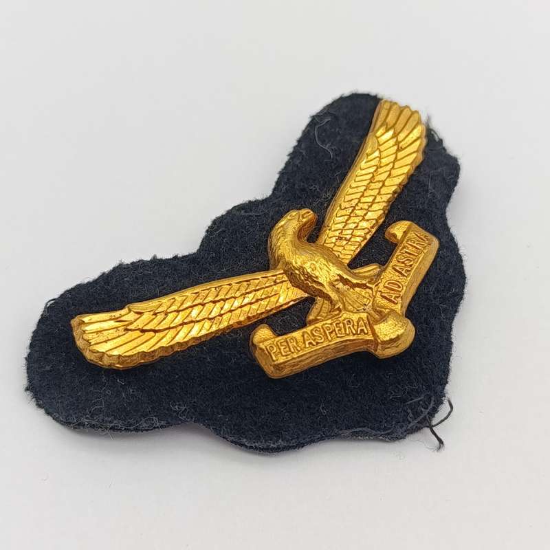 SA Air Force cap badge with backing