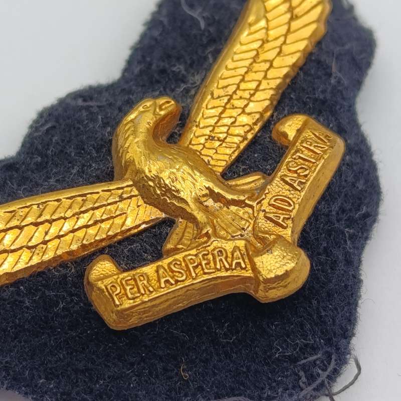 SA Air Force cap badge with backing