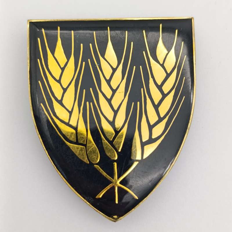 SADF Swartland commando shoulder flash