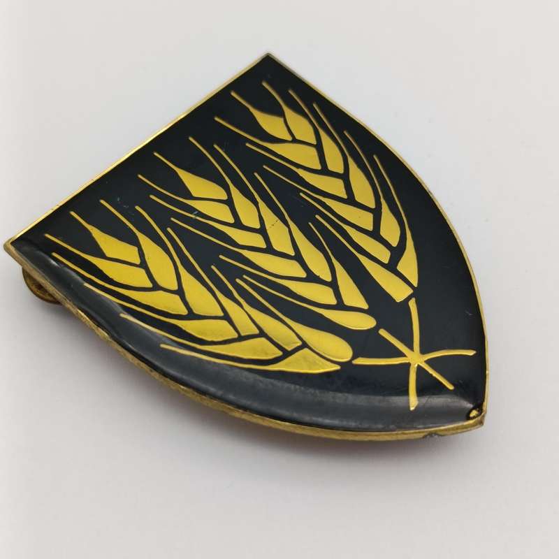 SADF Swartland commando shoulder flash