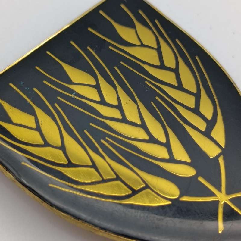 SADF Swartland commando shoulder flash
