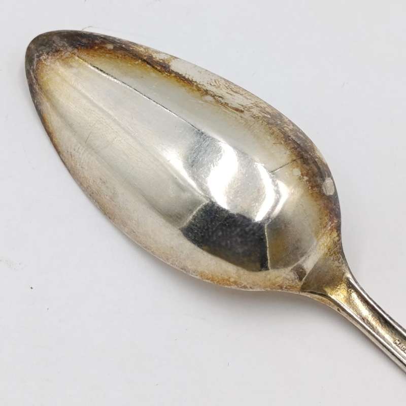 Set of 6 Angora silverplated fruit spoons