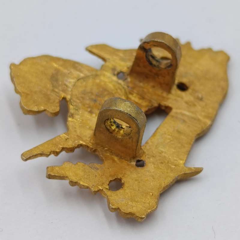 Set of Rhodesian BSAP cap and collar badges