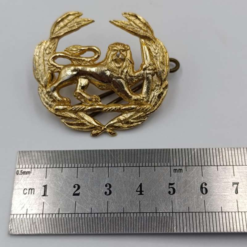 Rhodesian Army warrant officer badge