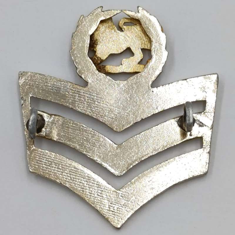 Lot of Rhodesian BSAP rank badges and buttons