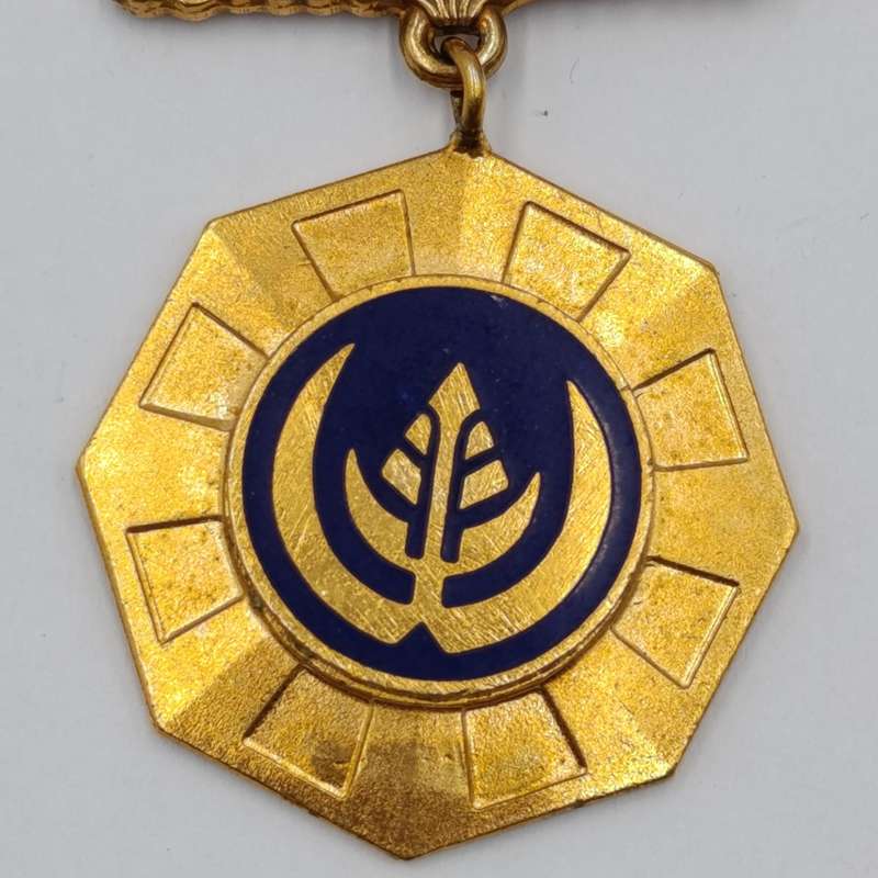 SADF Pro Pretoria medal #62756 issued to Lance Corporal K.F.C Landman in box - swivel type