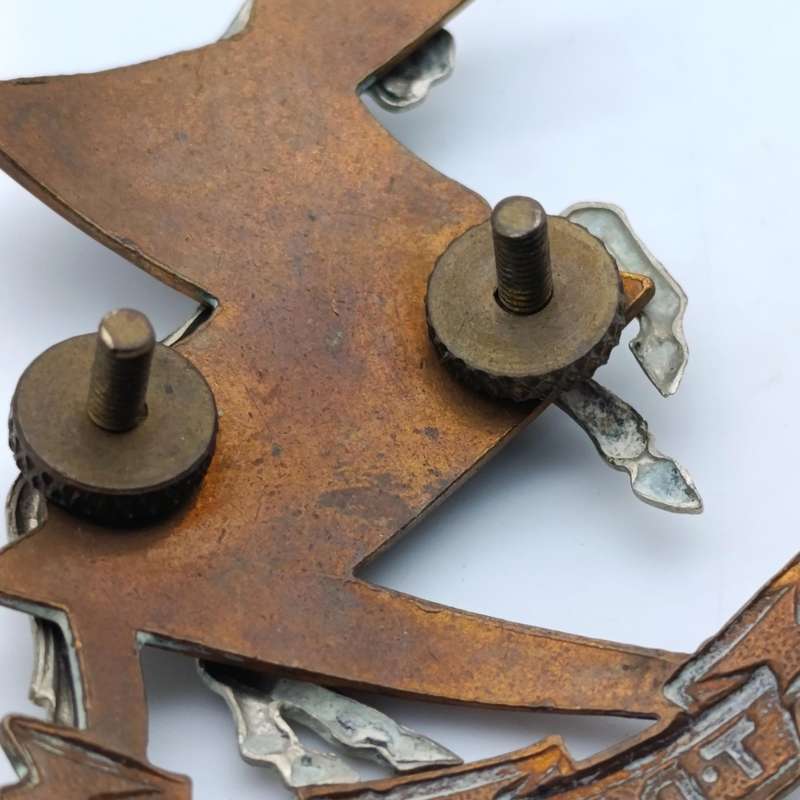 SADF Technical Services Corps cap badge