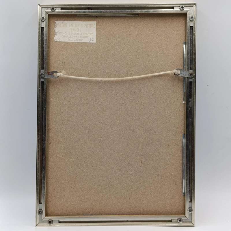 SADF Pro Patria medal #50356 with certificate issued to 71274732 BT Cpl Bryan Garth Pristman