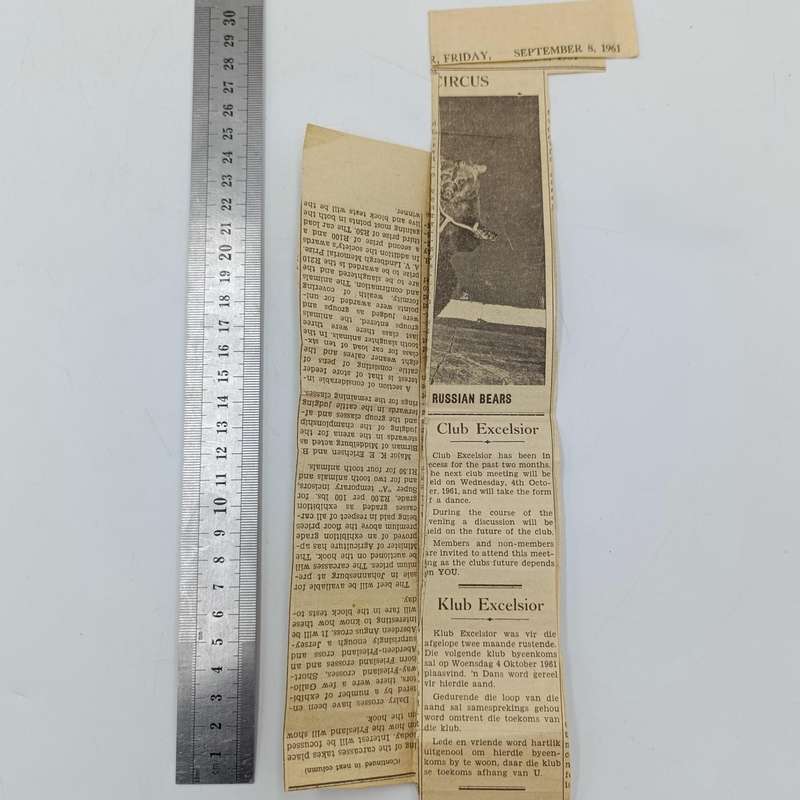Vintage 8mm film reel and photo slides of Friesland cattle on Sir de Villiers Graaf farm