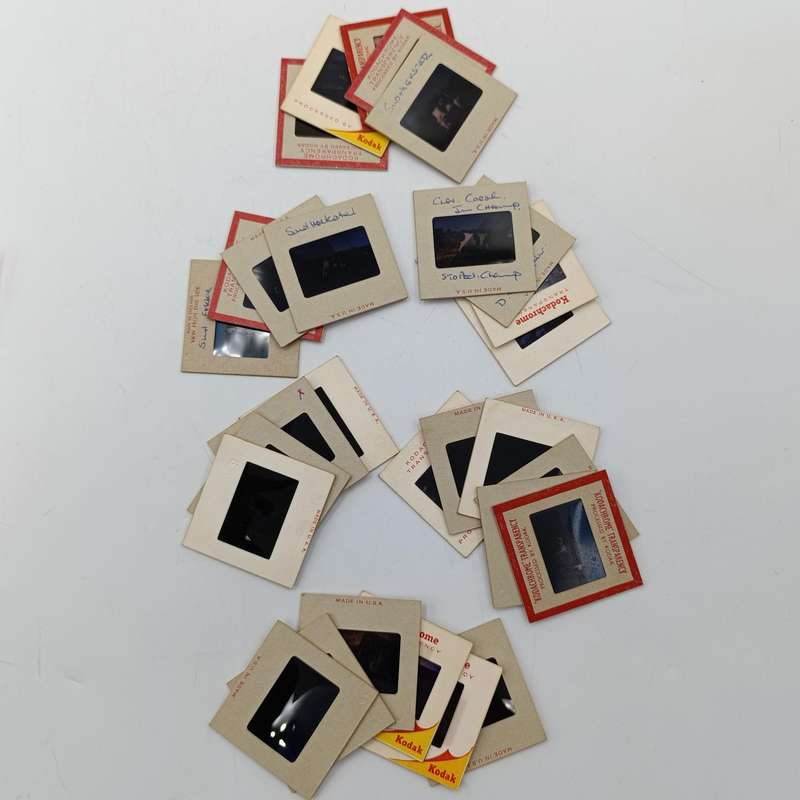 Vintage 8mm film reel and photo slides of Friesland cattle on Sir de Villiers Graaf farm