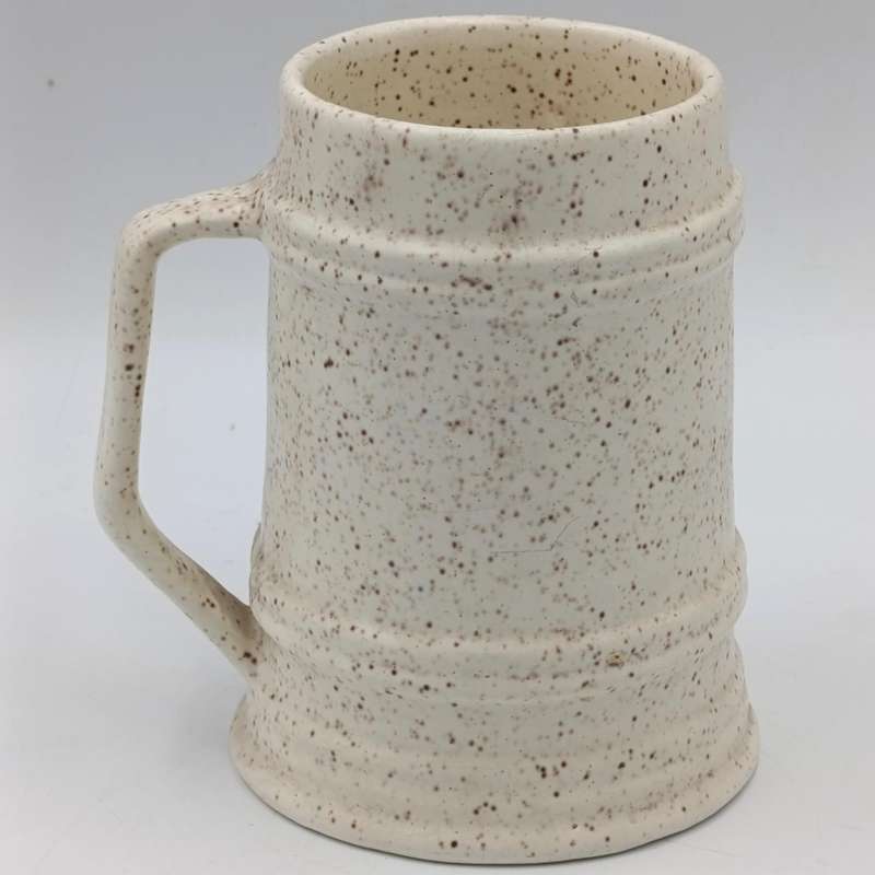 SADF The Southern Cross Fund mug