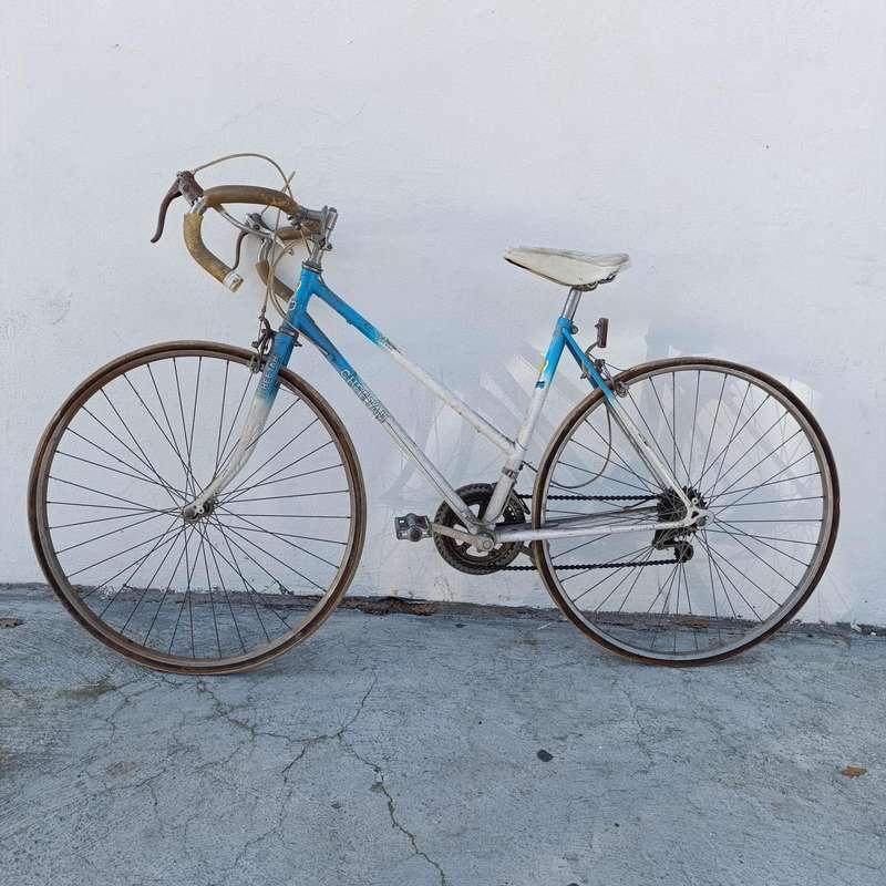 Vintage Cheetah 12-speed ladies road bicycle - Collection Only