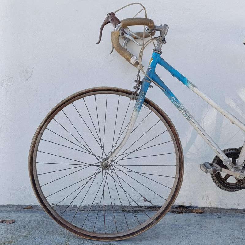 Vintage Cheetah 12-speed ladies road bicycle - Collection Only