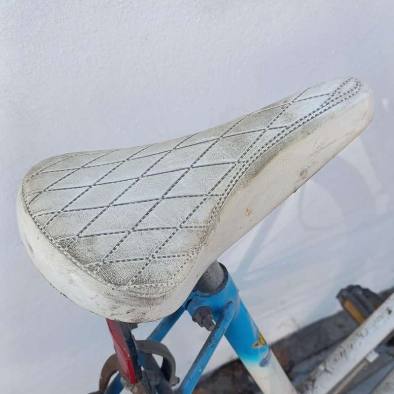 Vintage Cheetah 12-speed ladies road bicycle - Collection Only