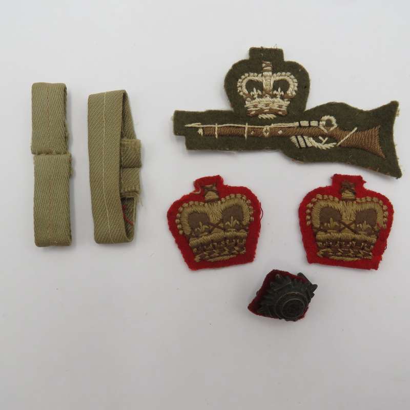 Lot of British military badges and insignia