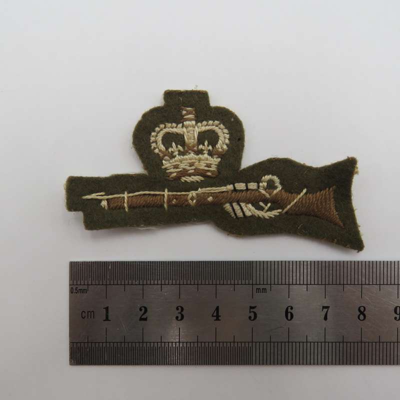 Lot of British military badges and insignia