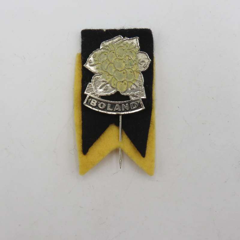 Vintage Boland Rugby lapel pin badge