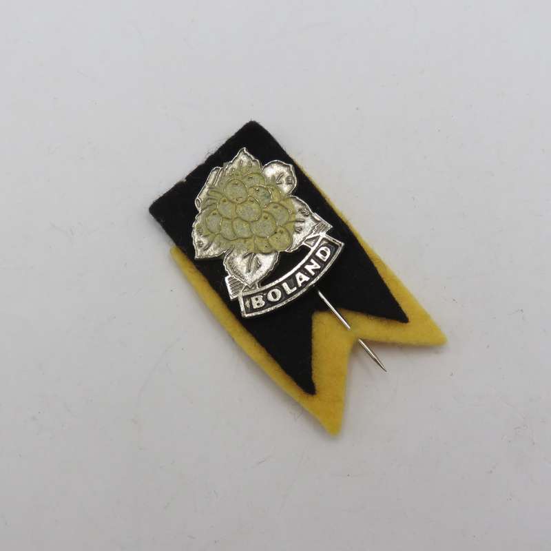 Vintage Boland Rugby lapel pin badge