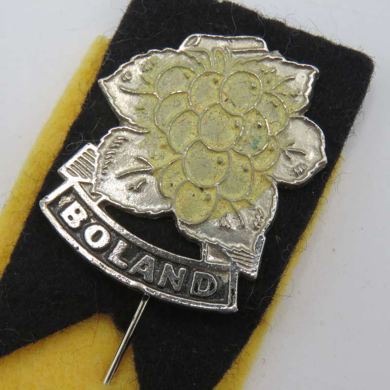Vintage Boland Rugby lapel pin badge