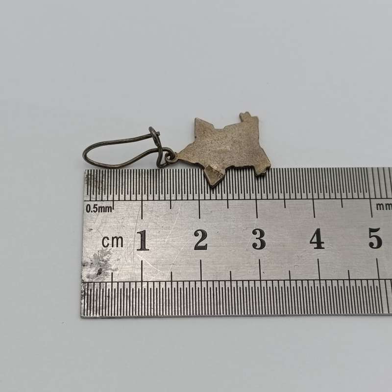 Pair of Van Riebeeck festival Sterling silver earrings