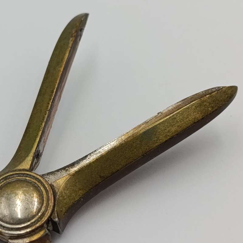 Antique silver plated grape shears