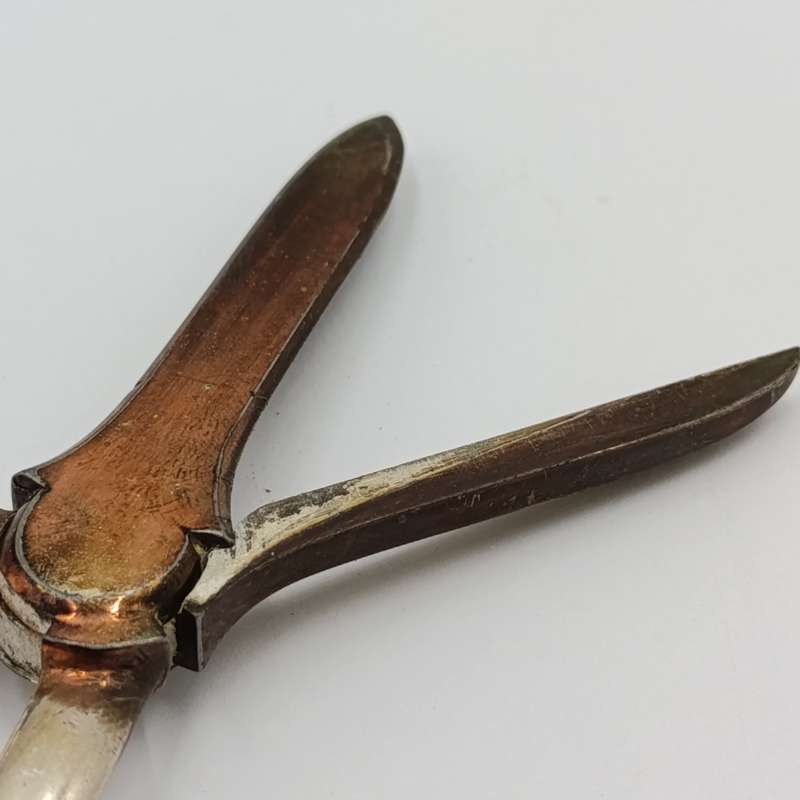 Antique silver plated grape shears