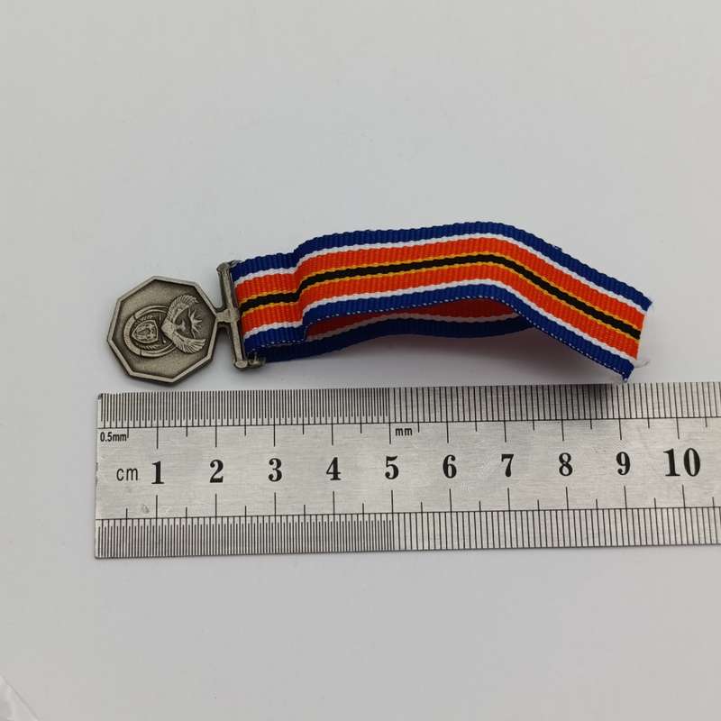 SANDF Tshumelo Ikatelaho medal plus miniature #2253