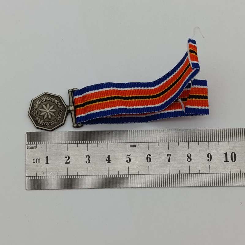 SANDF Tshumelo Ikatelaho medal plus miniature #2279