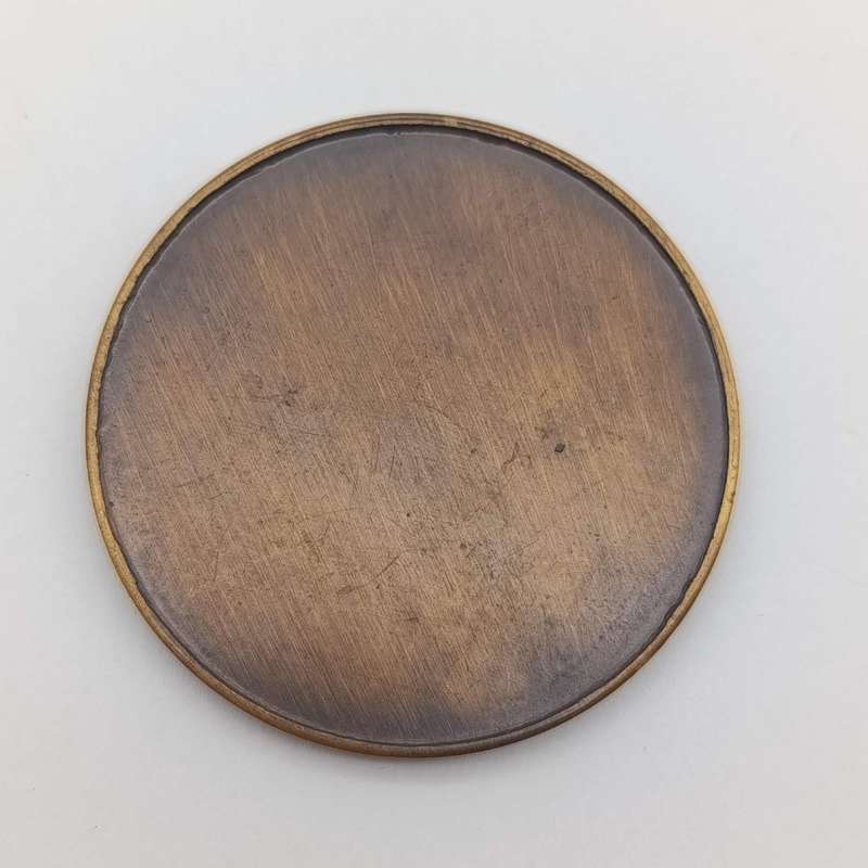 SWA Sector 10 medallion