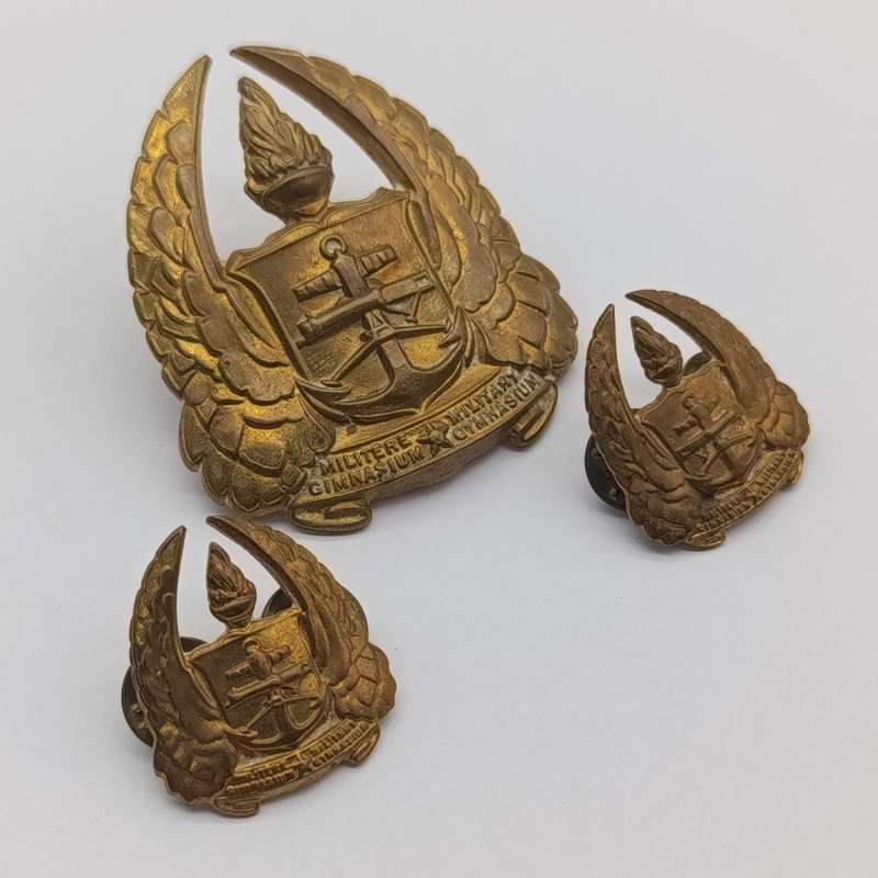 Pair of SA Military Gymnasium collar badges and cap badge