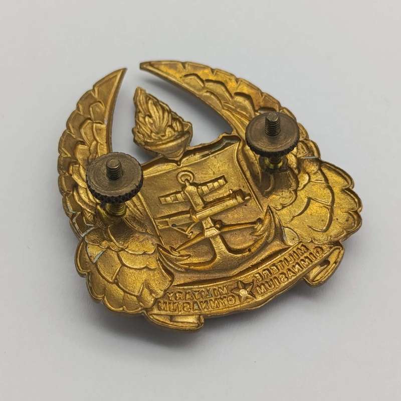 Pair of SA Military Gymnasium collar badges and cap badge