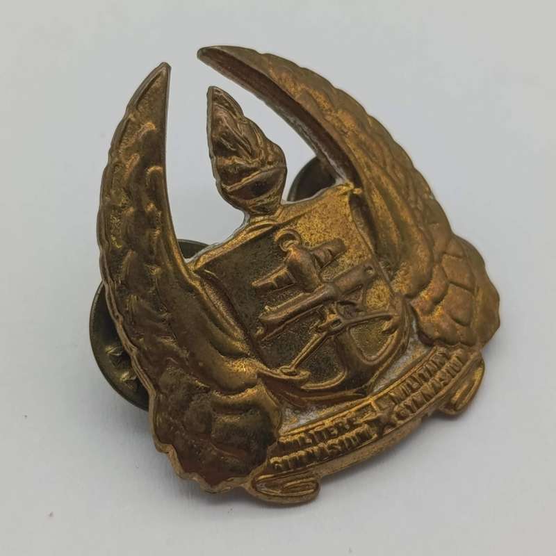 Pair of SA Military Gymnasium collar badges and cap badge