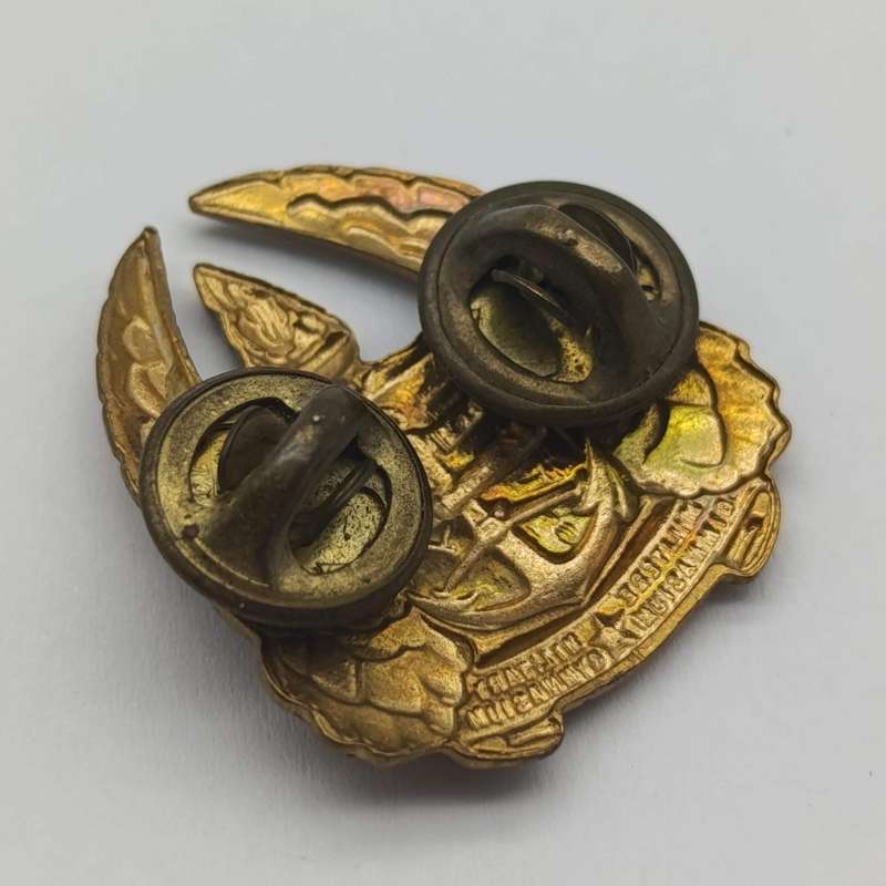 Pair of SA Military Gymnasium collar badges and cap badge