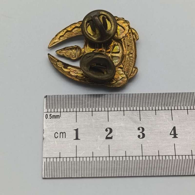 Pair of SA Military Gymnasium collar badges and cap badge