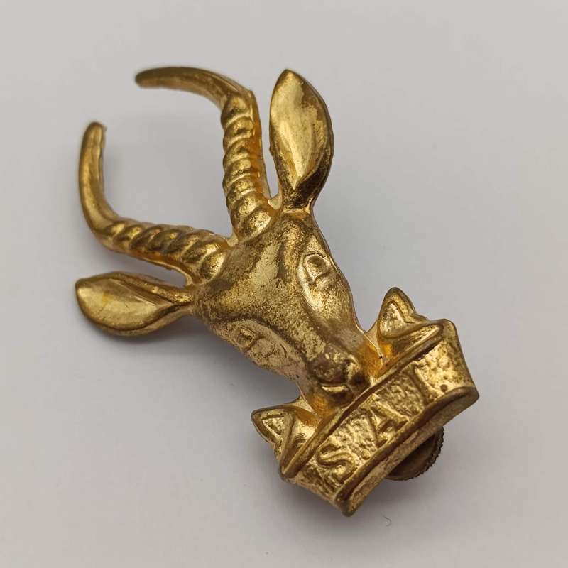 SA Infantry bokkop cap badge