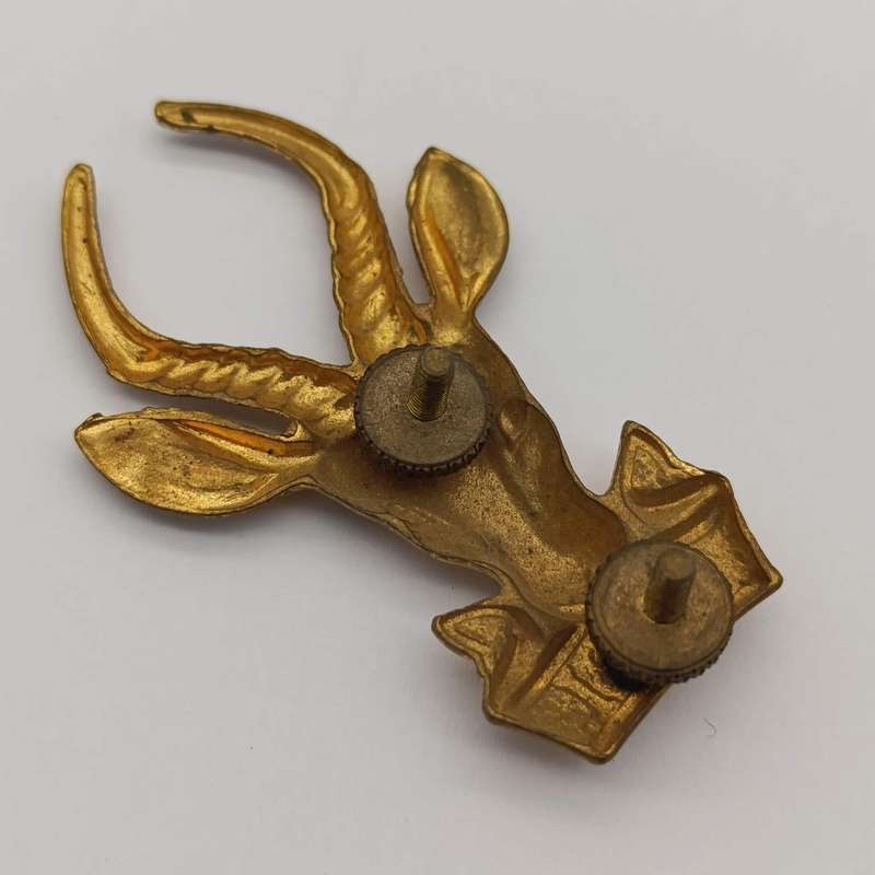 SA Infantry bokkop cap badge