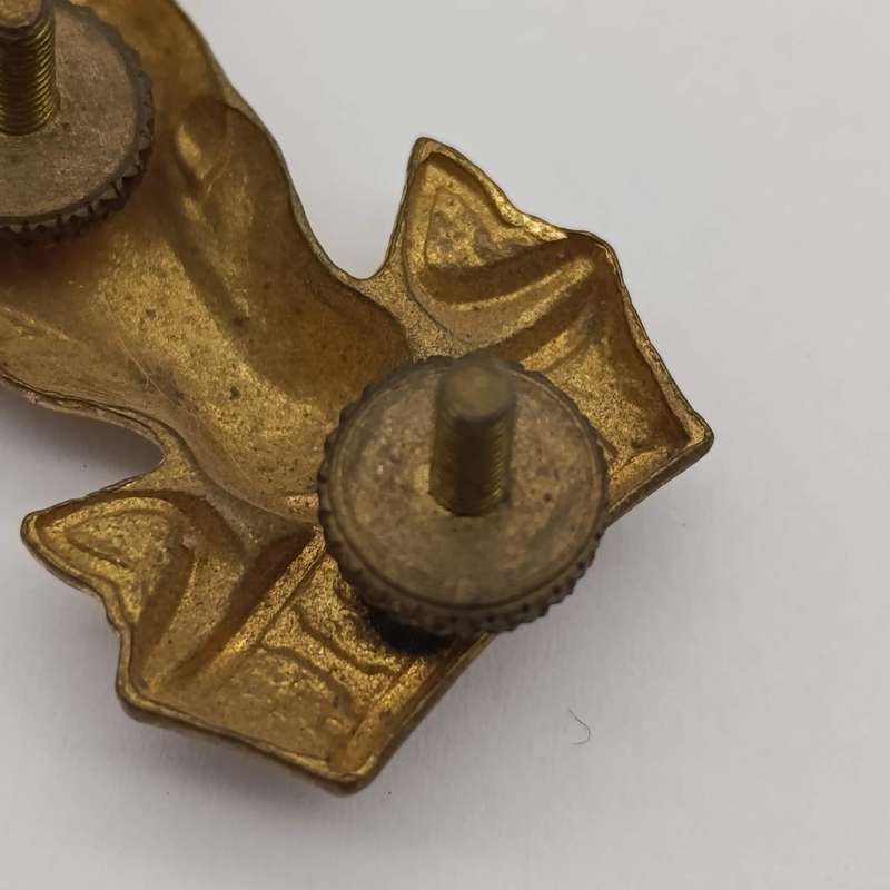 SA Infantry bokkop cap badge