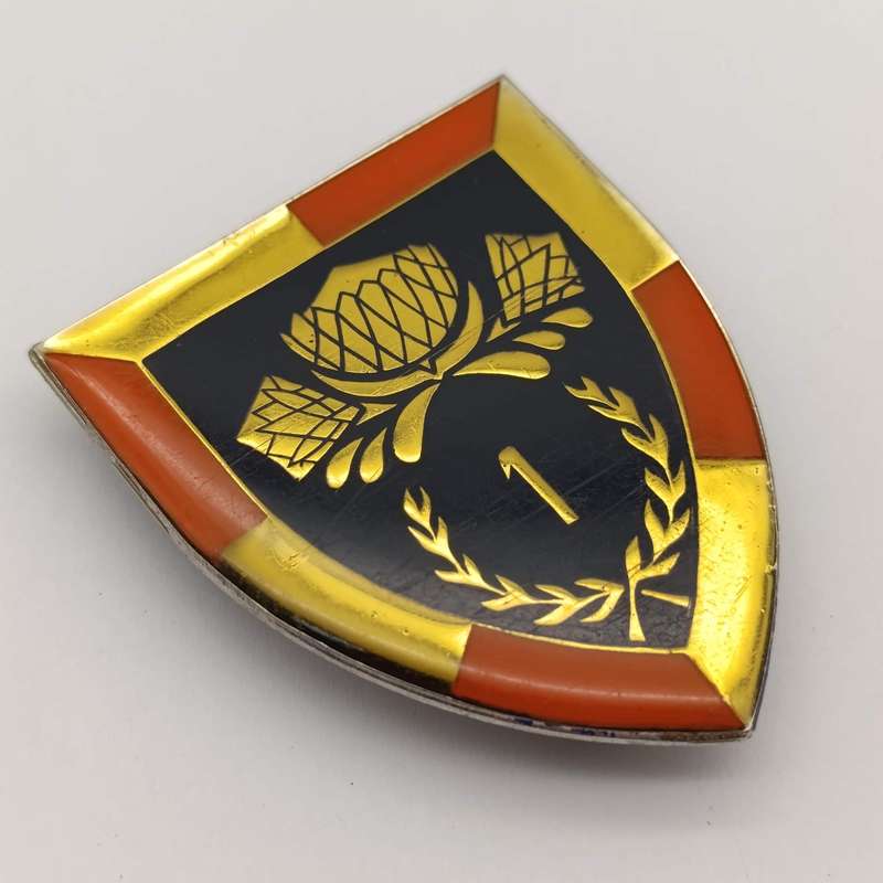 SADF 1 Special service battalion shoulder flash