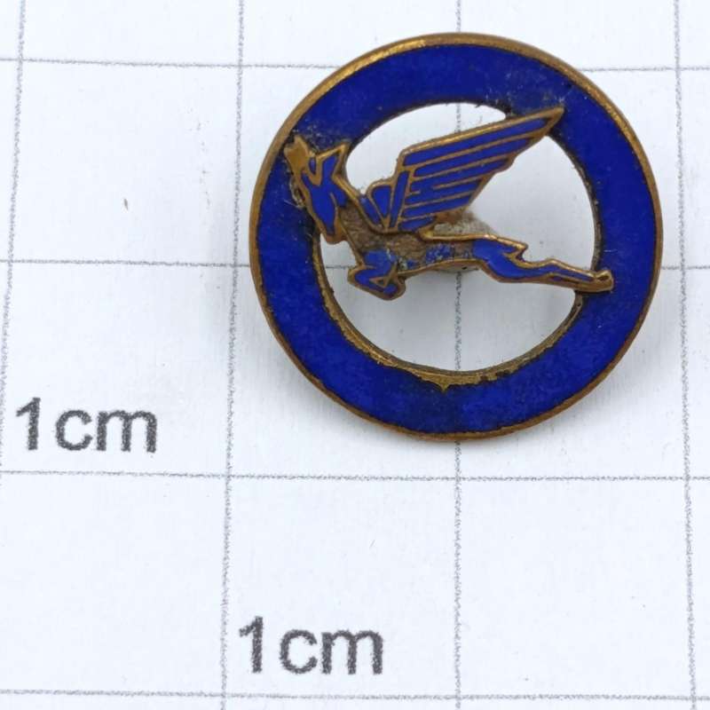 Vintage SA Airways Springbok lapel badge