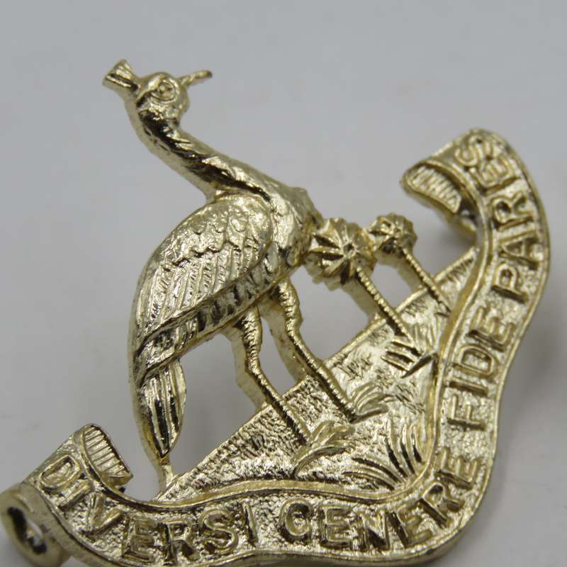 Pair of Northern Rhodesia regiment collar badges