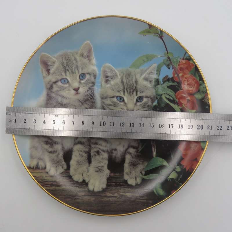 Two of a kind - Purrfect Portraits collection porcelain plate - Made by the Danbury Mint
