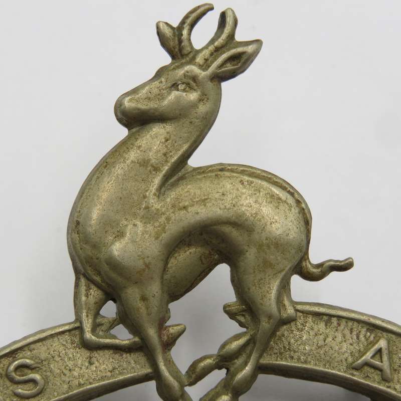 SA School cadets cap badge