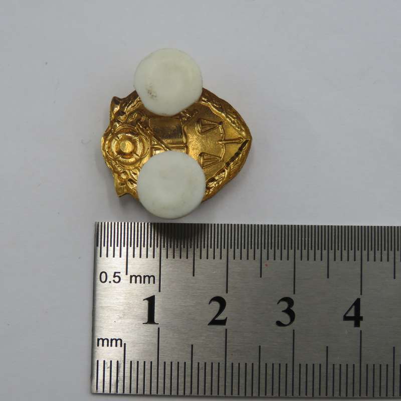 SA Prison services cap and collar badges set