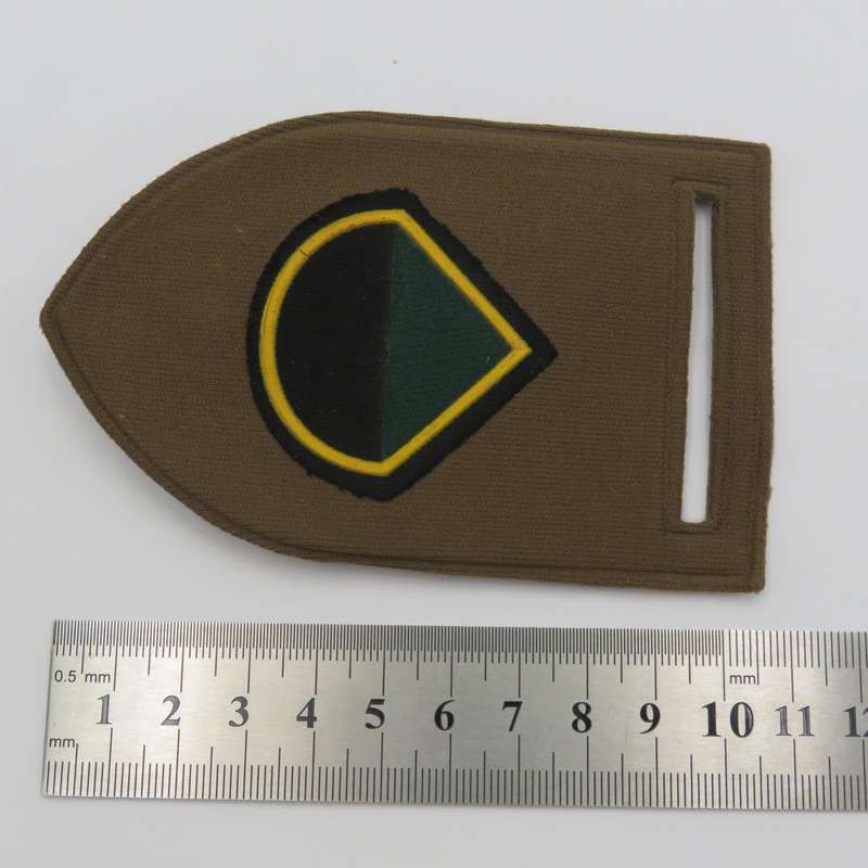 SA Infantry Delta Company tupperware flash