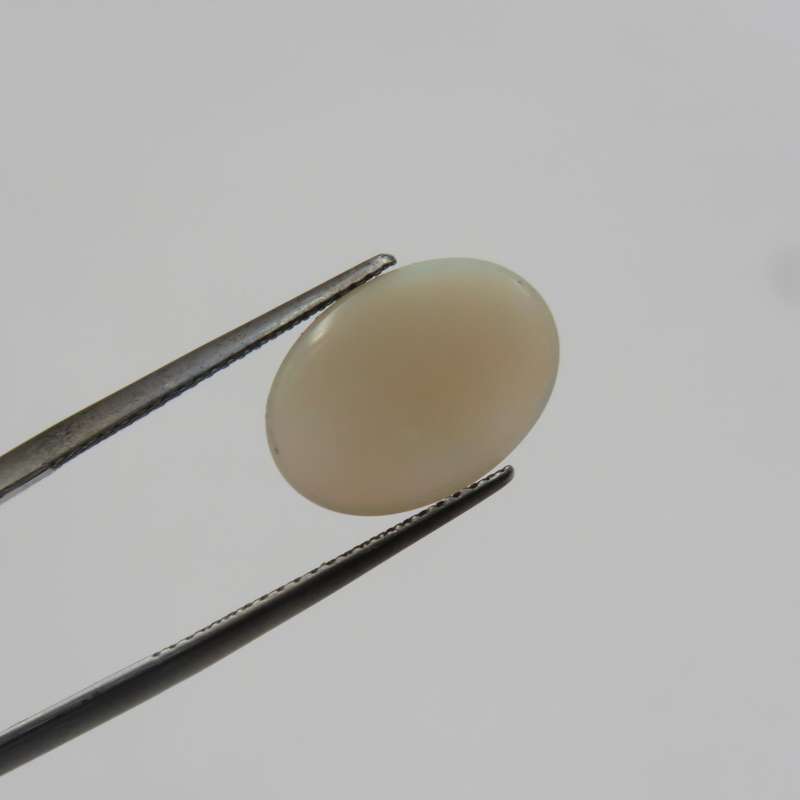 Predominantly Green Opal of 3,82 carats