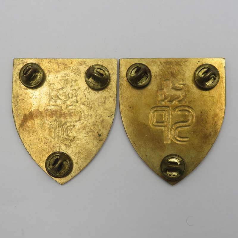 Pair of SADF State Presidents Guard shoulder flashes