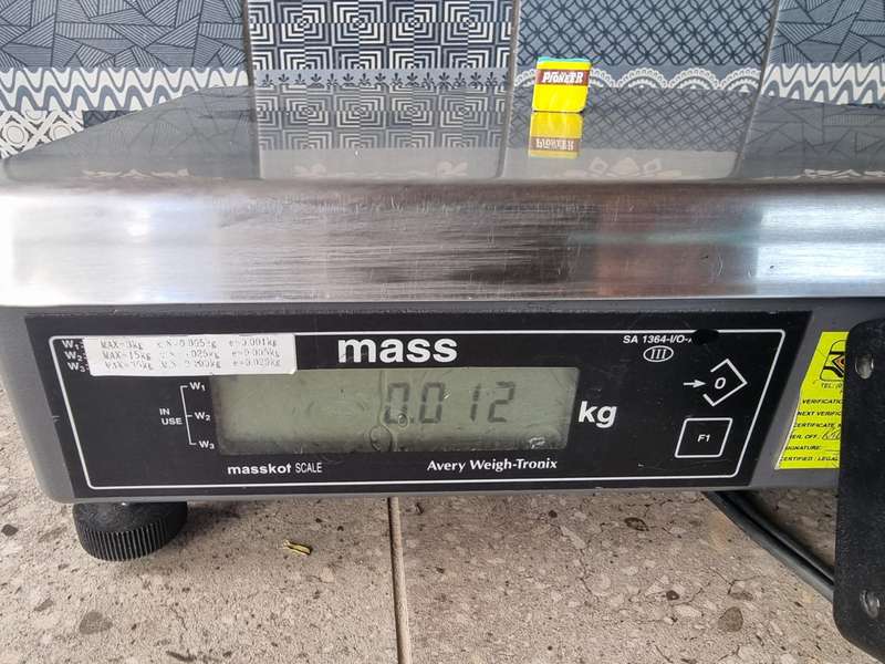 Avery Scale With Display
