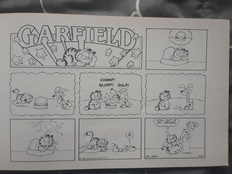 Garfield special delivery cartoon book